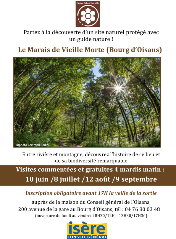 affiche-2014-animations-vie