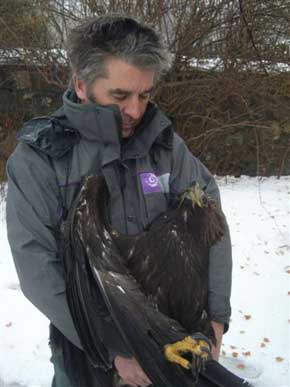 2009-12-aigle-bri1