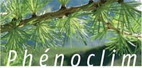 2010-01-phenoclim