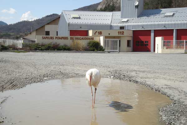 2010-04-cigogne-valgo1