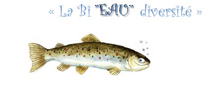 2010-09-bieaudiversite