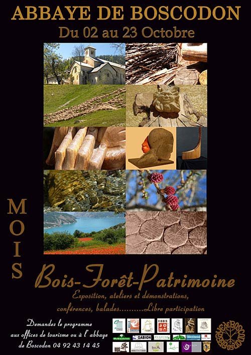 2010-09-moisbois-aff