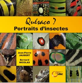 2010-11-quesaco1