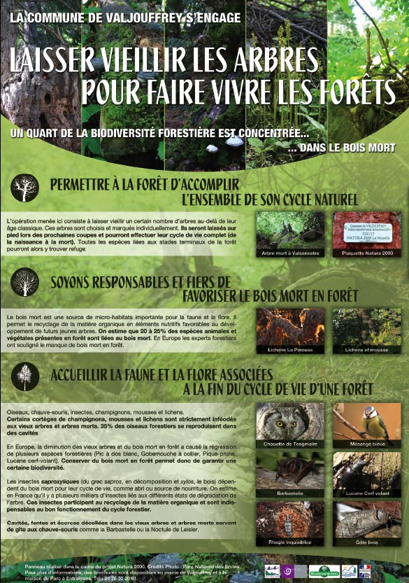 2010-11-pano-valjouf