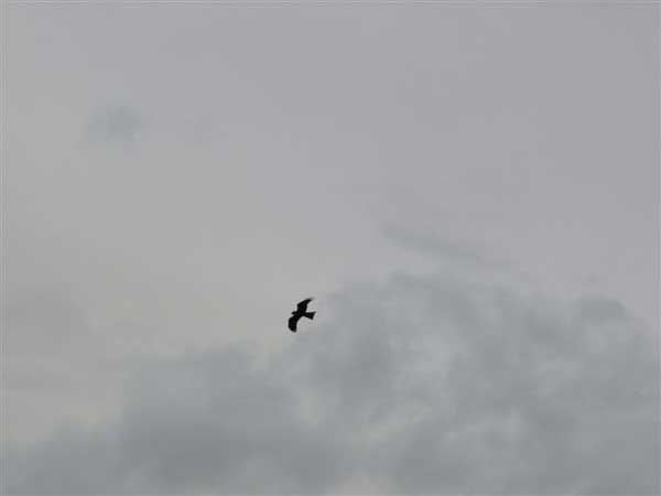 2011-03-retour-milan