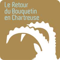 2010-05-ibex-chartreuse-logo