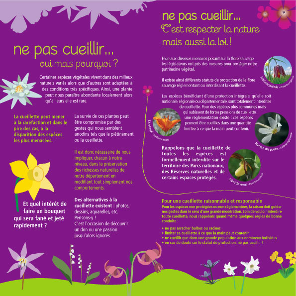 2011-05-gentiana-info