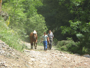 2012-07-molines2