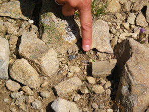 2011-08-cs-pte-silex-295