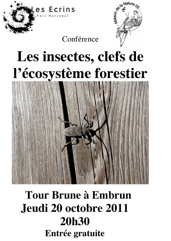 2011-10-affiche-conf-Insect