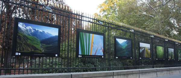 2011-11-luxembg-coeur-nat