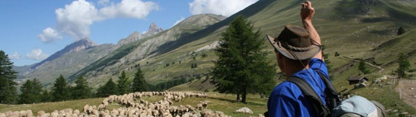 2012-01-pastoralisme