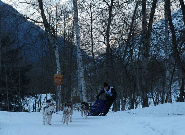2012-01-valgo-chiens
