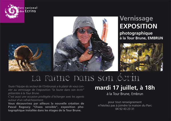 2012-07-expo-faune