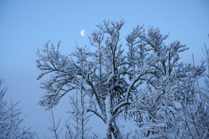 2009-10-sejours-hiver-03
