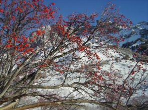 2009-10-sejours-hiver-05