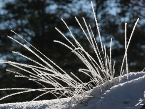2009-10-sejours-hiver-06
