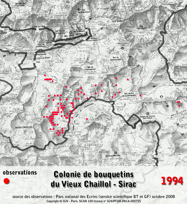 2010-01-bouquetins-01a