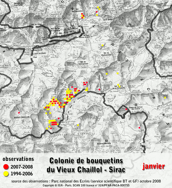 2010-01-bouquetins-02a
