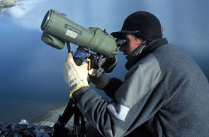2011-05-observation