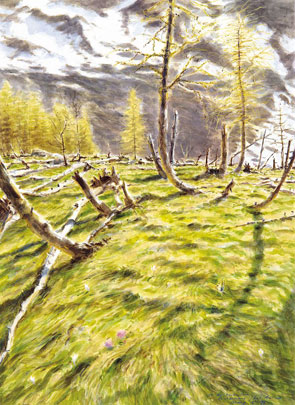 2011-09-foret-memoire-avala