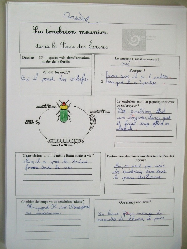 2011-04-cezanne17