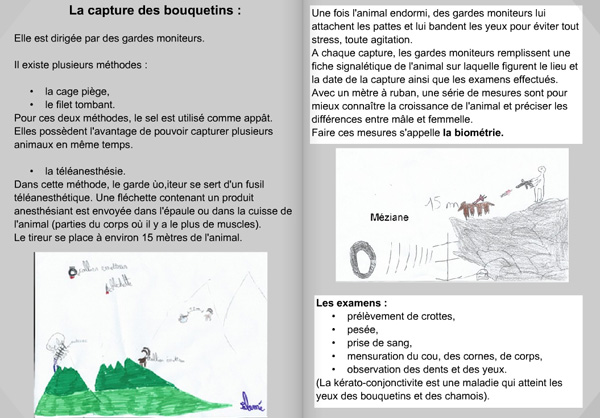 14-04-jd-oisans-bouquetins1