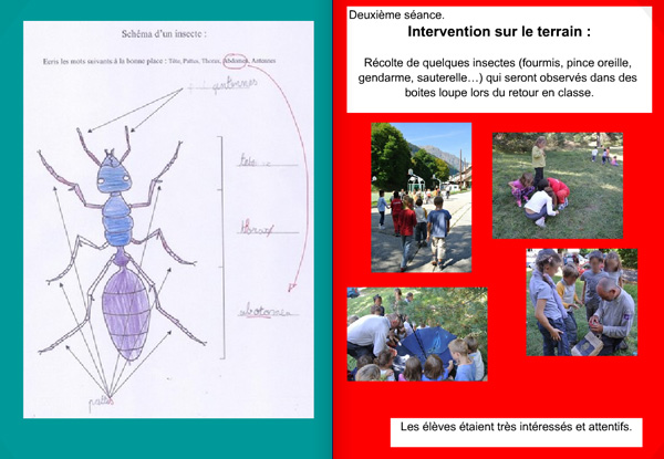 14-04-jd-oisans-insectes1