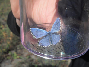 2013-10-vall-mat-azure2