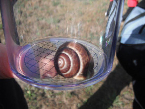 2013-10-vall-mat-escargot