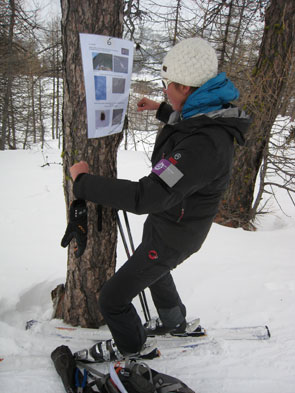 2013-02-anim-neige-2