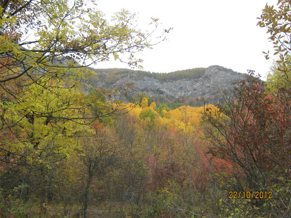 2013-jd-abc-automne