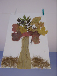 2013-jd-nos-arbres01