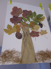2013-jd-nos-arbres02