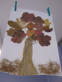 2013-jd-nos-arbres03