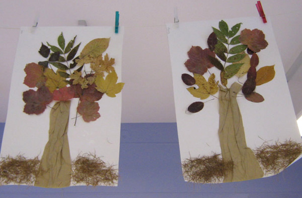 2013-jd-nos-arbres04