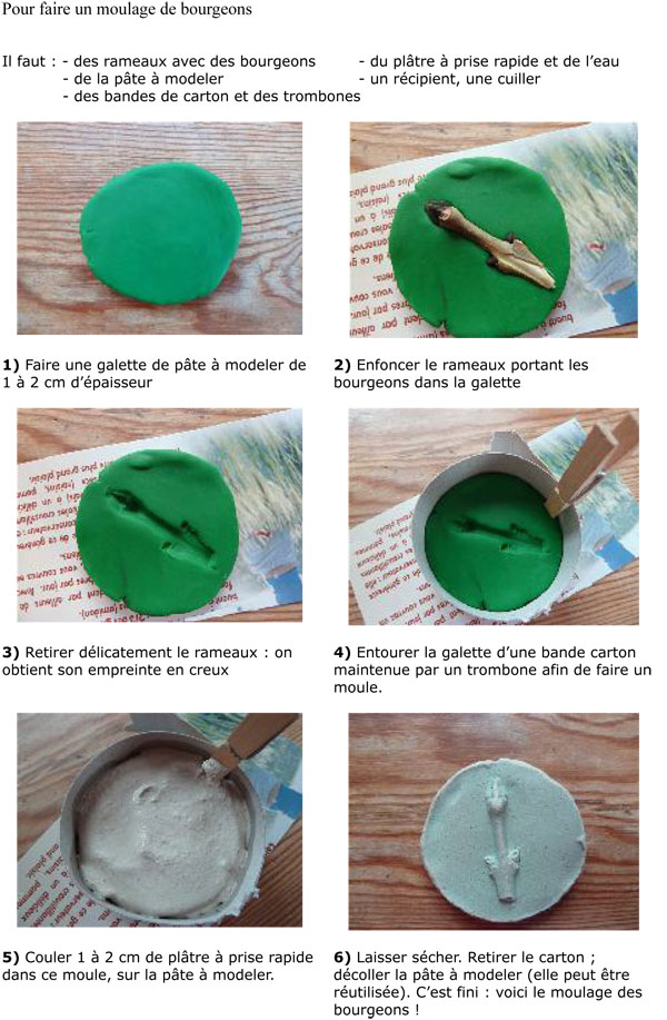 recette-moulage-bourgeons