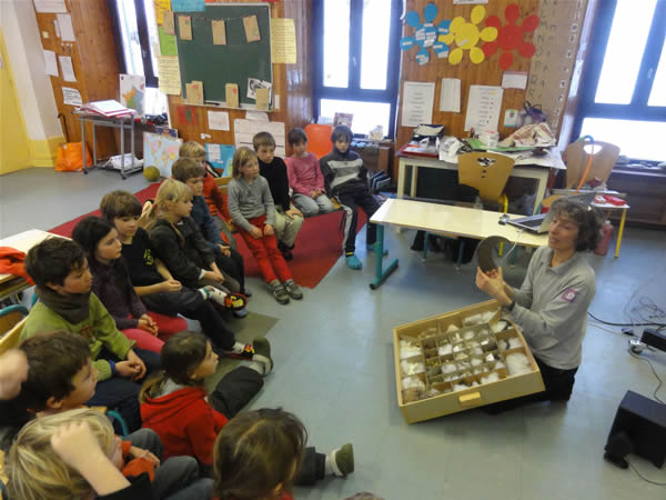 2013-boiteindice1