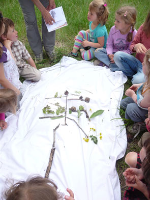 2013-05-jd-racine-arbre
