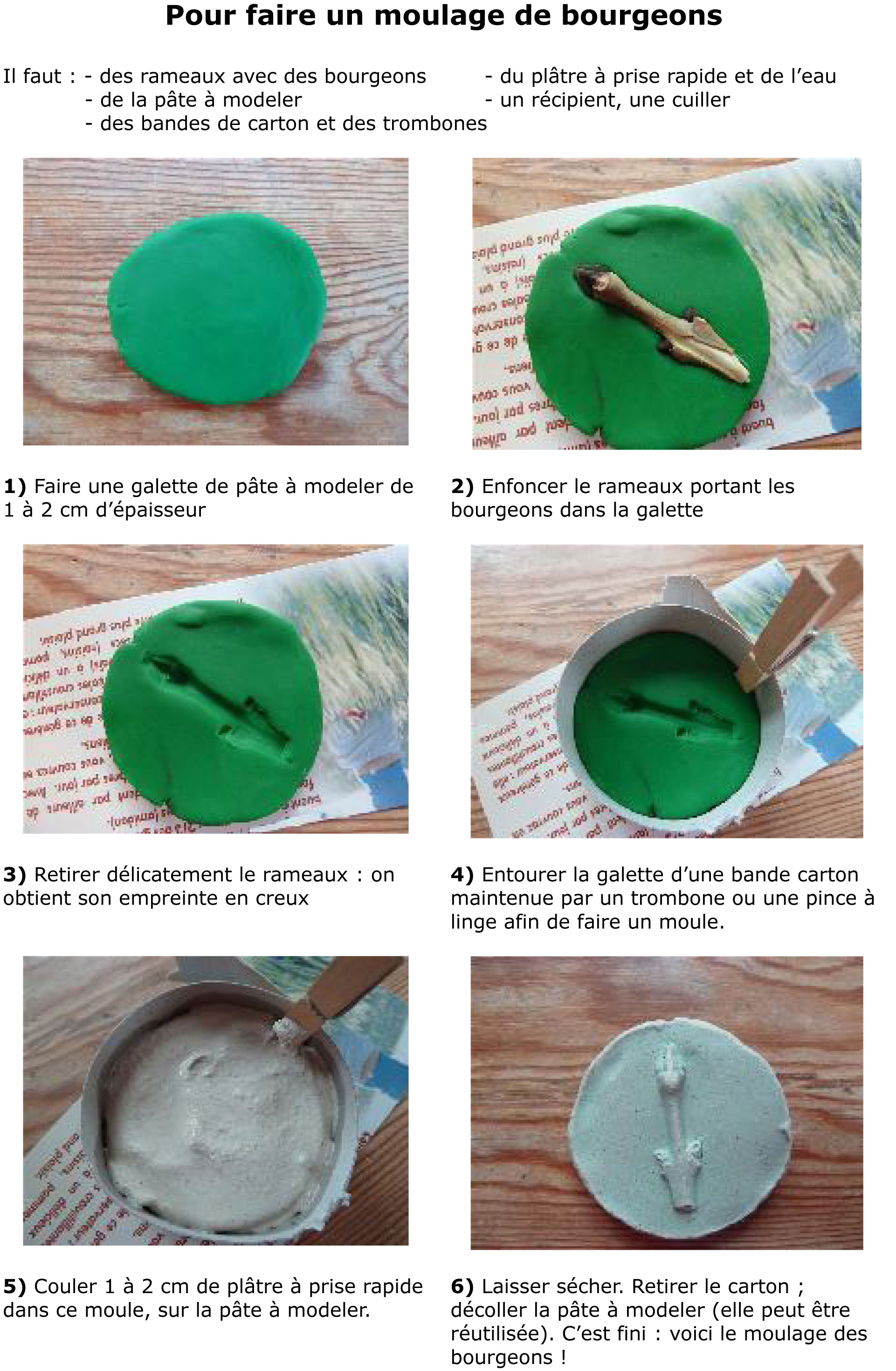 recette-moulage-bourgeons
