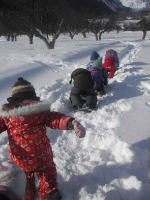2013-02-lievres295