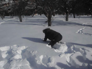 2013-02-mg-fait-lievre