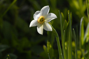 2013-06-jd-mat-vall-narcisse