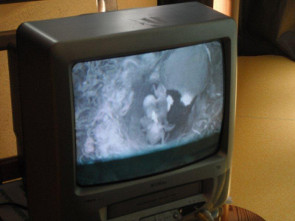 2013-06-mesanges-tele