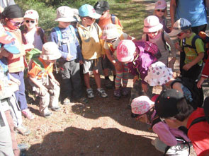 2013-07-jd-mat-vall-obs-vipere