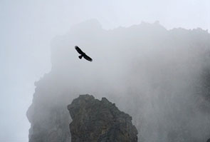 2013-jd-vall-aigle199