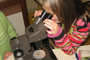 2011-06-jd-chab-microsc