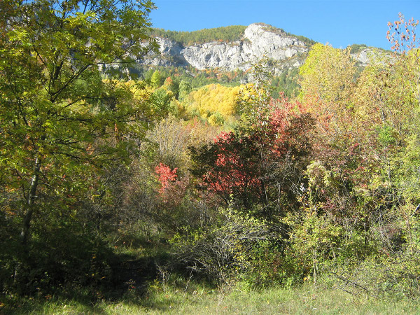 2011-05-leothaud-02