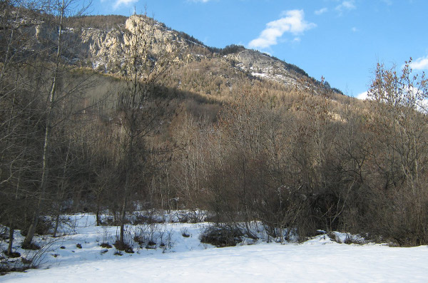 2011-05-leothaud-05