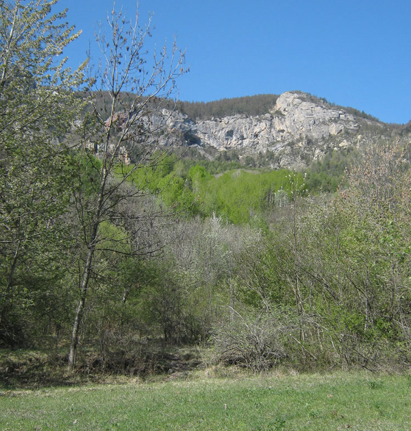 2011-05-leothaud-09